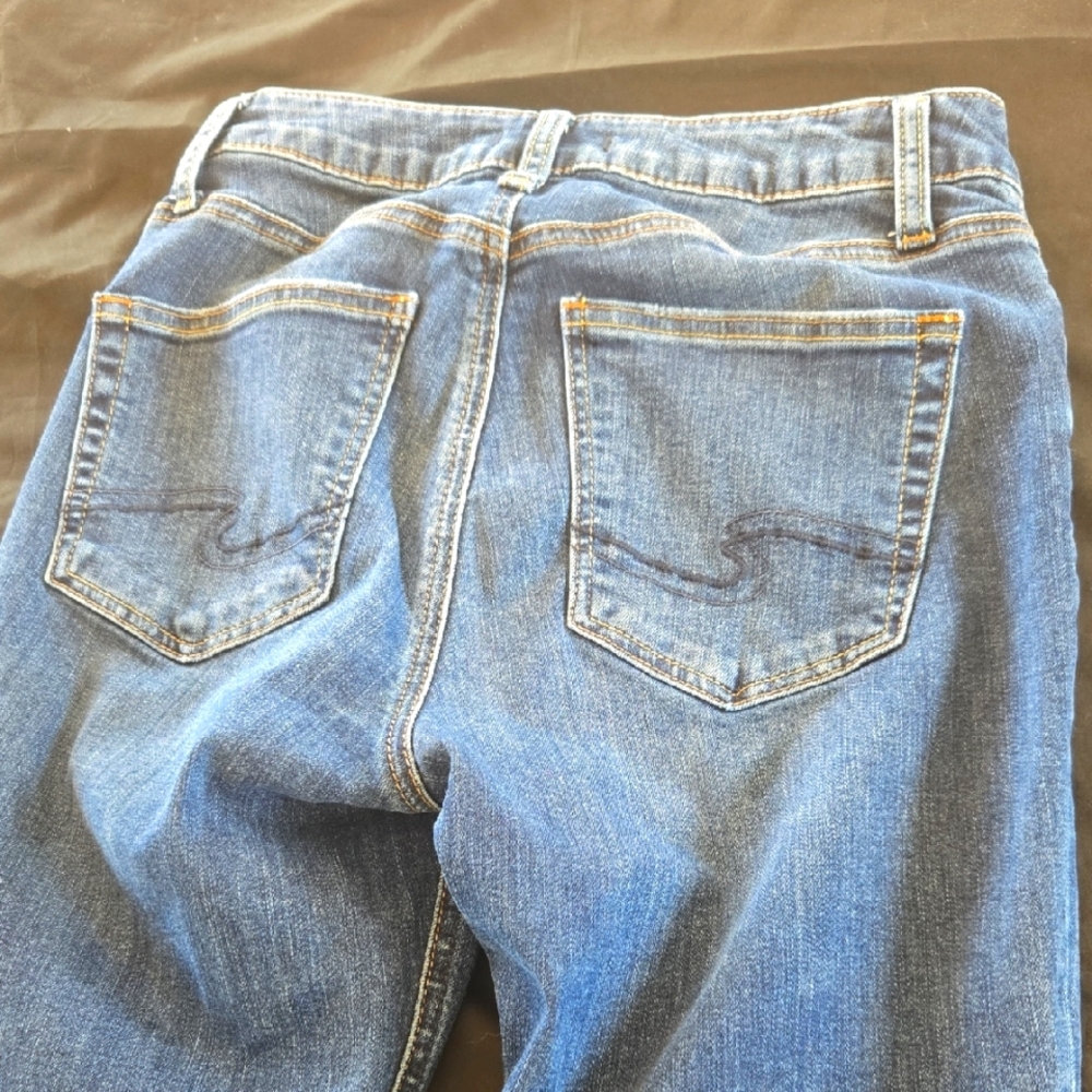 Silver Jeans Blue Skinny Leg Denim